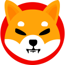 شیبا , shiba inu